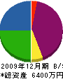 大樹 貸借対照表 2009年12月期