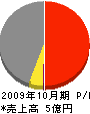 長崎大建 損益計算書 2009年10月期