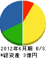 神戸土木 貸借対照表 2012年6月期