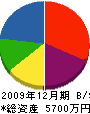 昌栄亀井 貸借対照表 2009年12月期