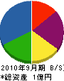 柴田工業 貸借対照表 2010年9月期