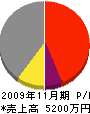 浅川組 損益計算書 2009年11月期