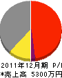 井川建設 損益計算書 2011年12月期