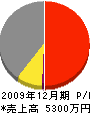 貞清工務店 損益計算書 2009年12月期