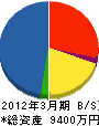 柳田電気 貸借対照表 2012年3月期