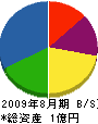 日の丸ディスプレー仙台 貸借対照表 2009年8月期