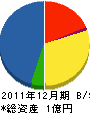 三共工務店 貸借対照表 2011年12月期