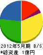 平川建設 貸借対照表 2012年5月期