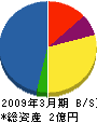 周南コンピュータサービス 貸借対照表 2009年3月期