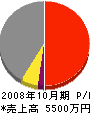 遠藤工業 損益計算書 2008年10月期