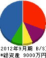 松扇園 貸借対照表 2012年9月期