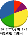 丸栄山下建設 貸借対照表 2012年5月期