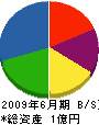 山崎組 貸借対照表 2009年6月期