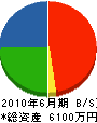 園田タタミ店 貸借対照表 2010年6月期