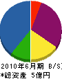 橋本工業 貸借対照表 2010年6月期