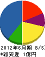 ヤマシタ 貸借対照表 2012年6月期