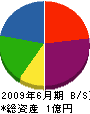 鎌倉土建 貸借対照表 2009年6月期