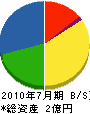 九州ジスコン 貸借対照表 2010年7月期