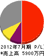 日本テクノ 損益計算書 2012年7月期