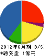 弓野組 貸借対照表 2012年6月期