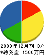 津田建業 貸借対照表 2009年12月期
