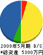 秋山配管工業所 貸借対照表 2009年5月期
