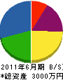 杉田産業 貸借対照表 2011年6月期