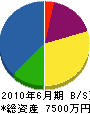 大澤組 貸借対照表 2010年6月期