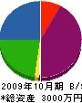 鈴木建設 貸借対照表 2009年10月期