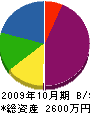 セイケン塗装 貸借対照表 2009年10月期