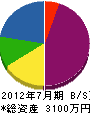 阪本工業 貸借対照表 2012年7月期
