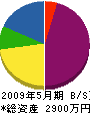 藤井電機 貸借対照表 2009年5月期