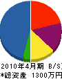 タイセイ通信 貸借対照表 2010年4月期