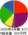 竹花電気 貸借対照表 2009年4月期
