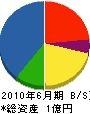 三塚内装 貸借対照表 2010年6月期