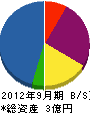 ＊田クレーン興業 貸借対照表 2012年9月期