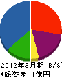 ソロ防水北海道 貸借対照表 2012年3月期