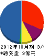 サンワテクノ 貸借対照表 2012年10月期