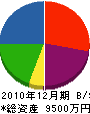 梅田建設 貸借対照表 2010年12月期