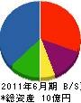 渋沢テクノ建設 貸借対照表 2011年6月期
