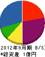 中塚建設 貸借対照表 2012年9月期