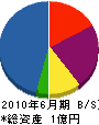 福井 貸借対照表 2010年6月期
