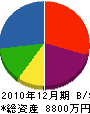上川建築 貸借対照表 2010年12月期