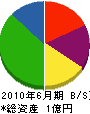 竹島運輸 貸借対照表 2010年6月期