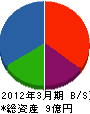 秋田デイックライト 貸借対照表 2012年3月期