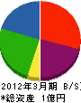 渡辺リース 貸借対照表 2012年3月期