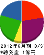 中島電工 貸借対照表 2012年6月期