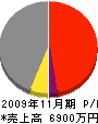 神田工業 損益計算書 2009年11月期