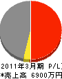 ヒヨシ小杉 損益計算書 2011年3月期
