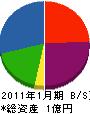 寺田 貸借対照表 2011年1月期